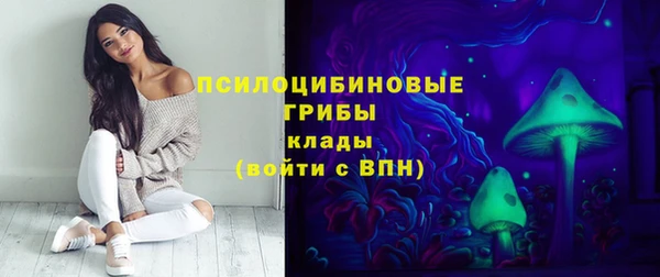 ПСИЛОЦИБИНОВЫЕ ГРИБЫ Надым
