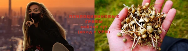 ПСИЛОЦИБИНОВЫЕ ГРИБЫ Надым