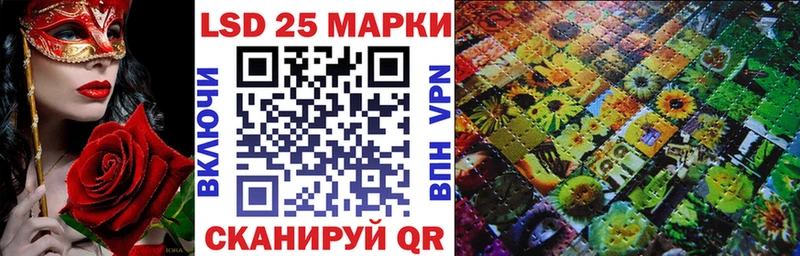 Купить закладки  Елизово  Марки NBOMe 1,8мг 
