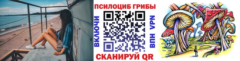 Купить закладки  Елизово  Псилоцибиновые грибы прущие грибы 